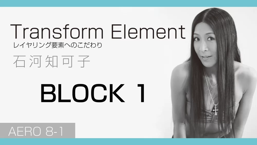 CT131-1 Transform Element