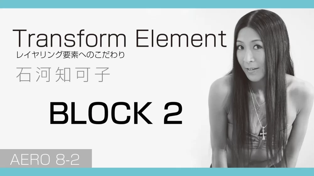 CT131-2 Transform Element