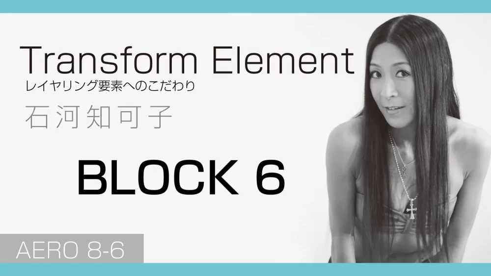 CT131-6 Transform Element