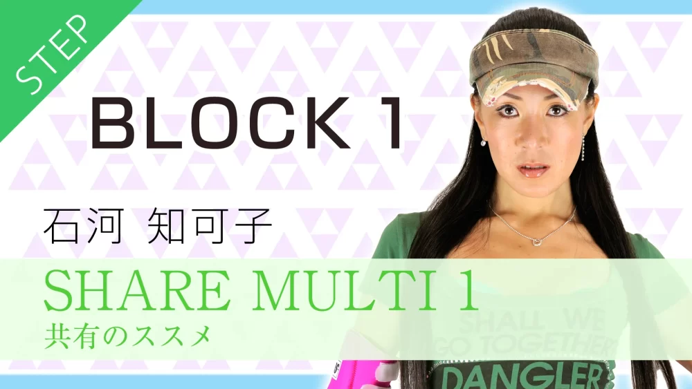 FR290-1 SHARE MULTI 1