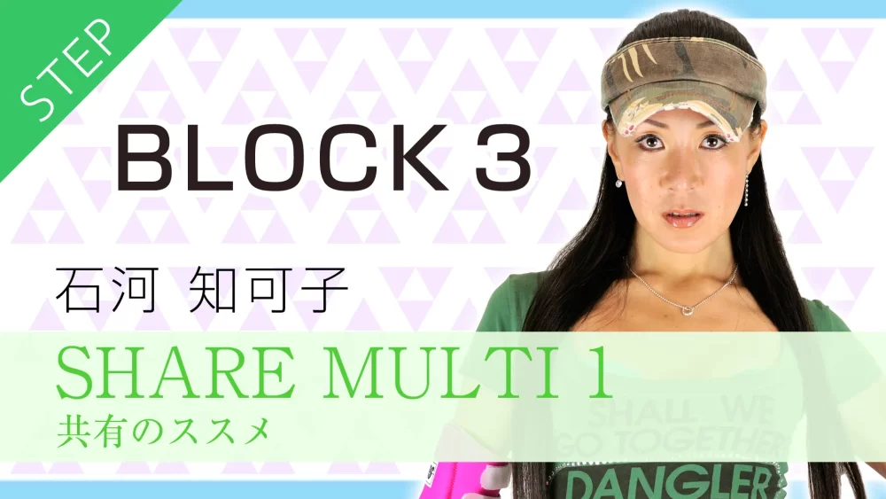 FR290-3 SHARE MULTI 1